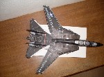 k-F-14 Tomcat (33).JPG

284,30 KB 
640 x 480 
18.03.2009
